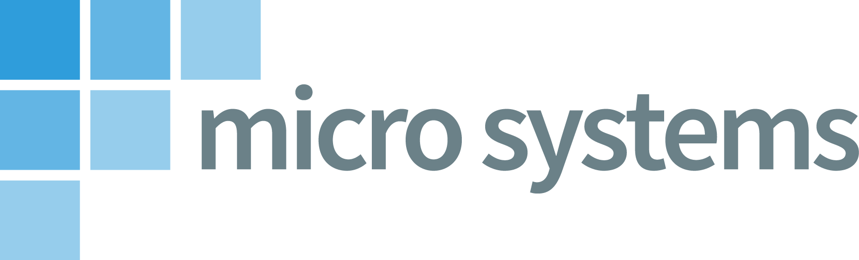 microsystems horizontal color